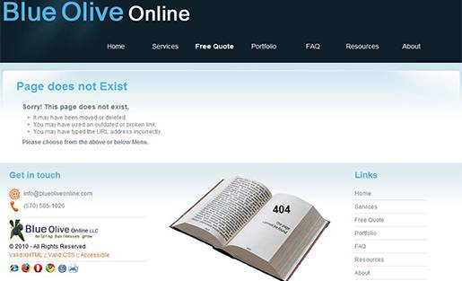 Blue Olive Online - Custom Error Page.