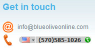 Phone number highlighted by Skype as shown in Internet Explorer.