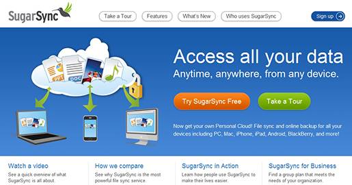 SugarSync is an online backup, file sync, and sharing service. With SugarSync you get secure cloud storage for all your files — documents, music, photos, and videos. Provides 5GB of Free storage.