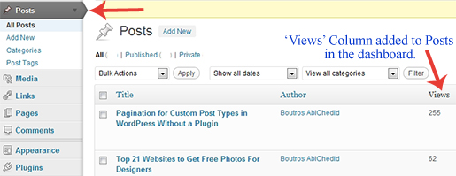 Views Column for the Posts tab as it shows in the WordPress dashboard.