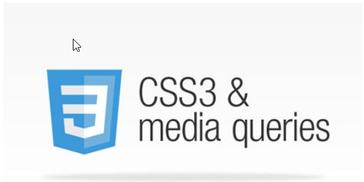 CSS3 and Media Queries.