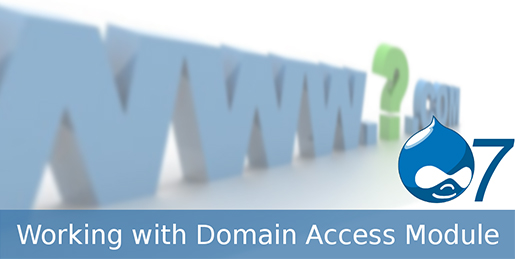 Domain Access Module.