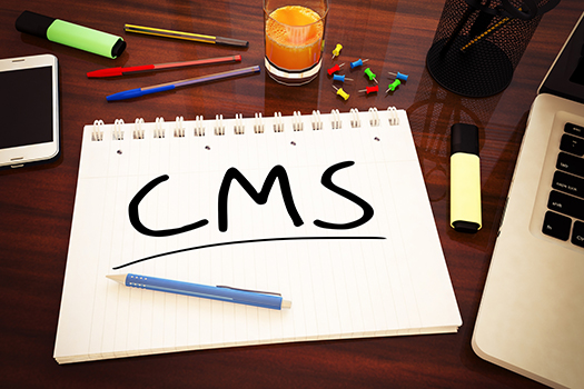 5 Advantages of Using a CMS to Design your Intranet.