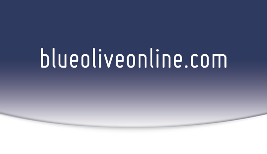 Blue Olive Online Business Card back side.